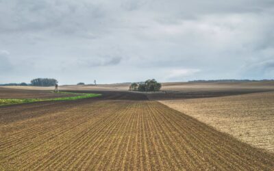Jagdverbände rufen Jäger zu Solidarität mit Landwirten und Forstwirten auf