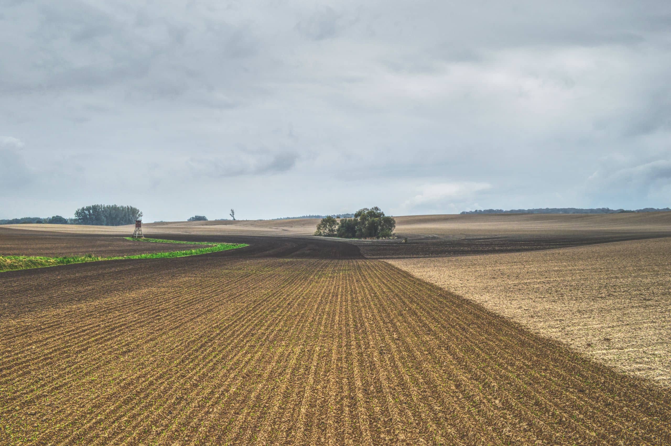Jagdverbände rufen Jäger zu Solidarität mit Landwirten und Forstwirten auf