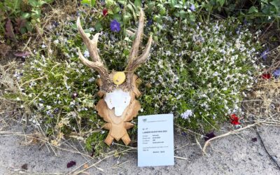 Starke Rehwildtrophäe aus der Uckermark gewinnt Gold beim Jägerfest 2023