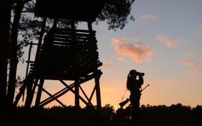 Hinweis zur Verwendung von Nachtsichtvorsatz- und Nachtsichtaufsatzgeräten